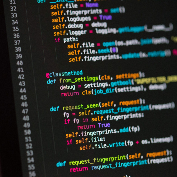 website development company in mumbai